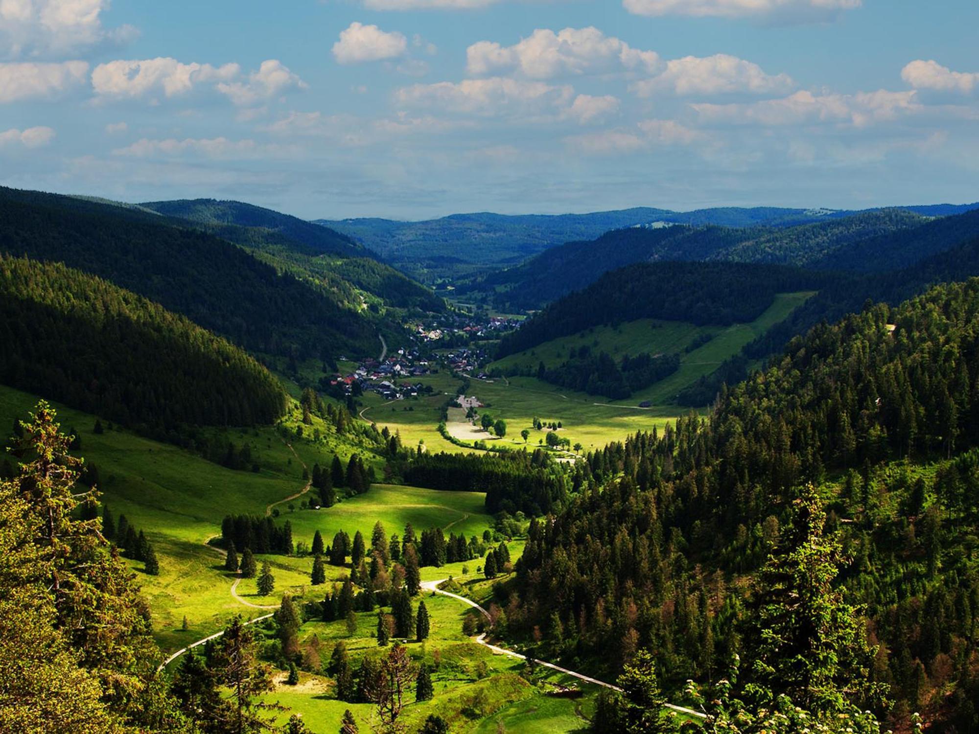 Black Forest Luxury Apartment Baerenhoehle Mit Sauna Schluchsee Exterior photo